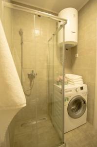 y baño con cabina de ducha y lavadora. en WHITE FIELDS-Central 2-bdrm apartment with parking, en Novi Sad