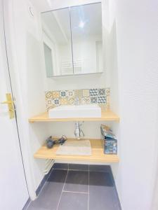 uma casa de banho com um lavatório e um espelho em Appartement charmant em Laon