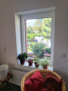 a window with potted plants in a room at Ferienwohnung Markranstädt in Markranstädt