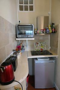 una cucina con bancone, TV e forno a microonde di la métairie de Martine a Riez