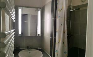 een badkamer met een wastafel, een spiegel en een douche bij Gourette appartement près des pistes, Résidence Val Soleil, 256 Gourette Nord, rue de Tortes in Eaux-Bonnes