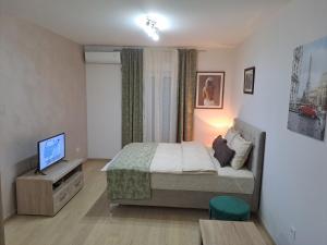 a bedroom with a bed and a television in it at Apartman City kvart in Podgorica