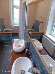 a bathroom with three sinks and two toilets at Glamping Altes Pastorat in Barmstedt