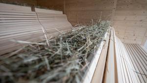 Foto dalla galleria di INNs HOLZ a Ulrichsberg
