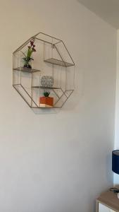 a glass shelf on a wall with plants on it at Bv Cosy Studio Eleven At Deighton Huddersfield in Huddersfield