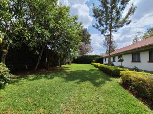 un cortile di una casa con alberi e erba di The Nest Airbnb - Milimani, Kitale a Kitale