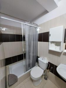 a bathroom with a shower and a toilet and a sink at Noclegi u Danusi in Wizna