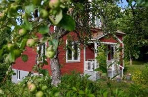 Zahrada ubytování Red Haven Cottage