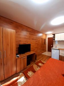 Μια τηλεόραση ή/και κέντρο ψυχαγωγίας στο Private Rooms Silvia
