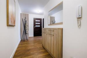 Kuchyň nebo kuchyňský kout v ubytování Downtown Apartments Sinatra air-conditioned