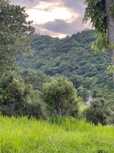 a view of a mountain with trees and grass at Monlada Khaoyai in Mu Si