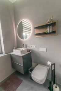 een badkamer met een wastafel, een toilet en een spiegel bij Ferienappartements-Milina in Rathmannsdorf