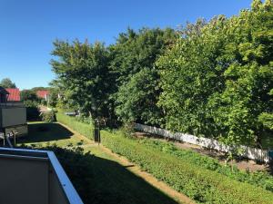 Elle offre une vue sur un jardin avec des arbres et une clôture. dans l'établissement Ferienwohnung am Damenpfad, à Wangerooge