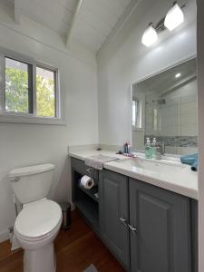 a bathroom with a toilet and a sink and a mirror at Sound of The Sea-walking distance to everything in Placencia