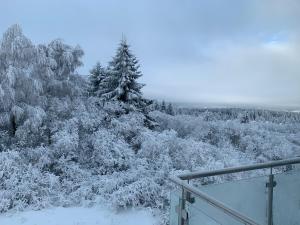 Apartmány na Plešivci talvel