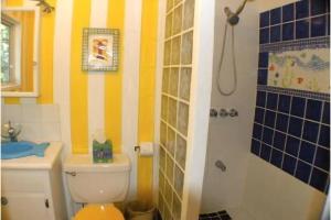 a bathroom with a toilet and a shower at Seagrape Escape in Maya Beach