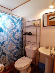 安加羅阿的住宿－Tuava Lodge，一间带卫生间和水槽的浴室