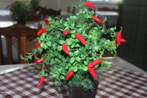 Billede fra billedgalleriet på Hotel Rey i Camaçari