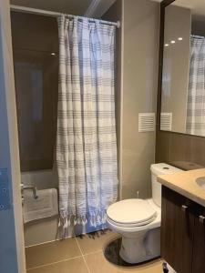テムコにあるDpto vip excelente ubicación c/estacionamientoのトイレとシャワーカーテン付きのバスルーム