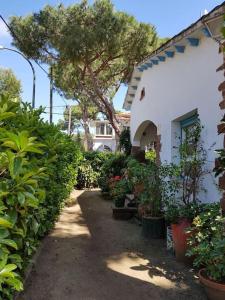 A garden outside Enjoy your holidays 300m to the Mediterranean sea at Villa DIVALI