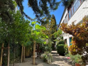 einen Garten mit Bäumen und Pflanzen neben einem Gebäude in der Unterkunft Haus Pia Executive Apartments in Friedrichshafen