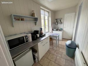 a kitchen with a counter top with a microwave at Le Tricorne in Saint-Vaast-la-Hougue