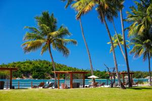 a group of palm trees and chairs on a beach at Pousada Sitio da Prainha in Praia dos Carneiros