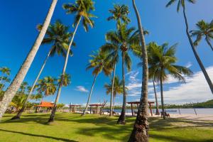 a group of palm trees on the beach at Pousada Sitio da Prainha in Praia dos Carneiros