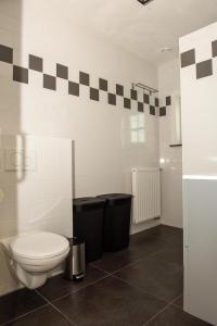 a bathroom with a toilet and two trash cans at De Donksehoeve in Liempde