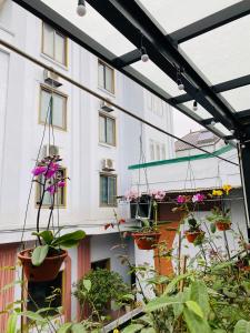 a building with potted plants in front of it at Khách sạn AMI in Vinh