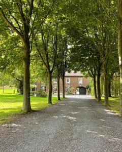 une allée avec des arbres devant un bâtiment dans l'établissement Hoeve Berghof, à Heerlen