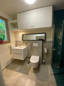 ein Badezimmer mit einem WC, einem Waschbecken und einem Spiegel in der Unterkunft GORIČKE IŽE in Križevci