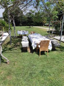 a table and chairs with a cat sitting on top of it at Casa do Coura in Caminha