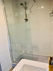 una ducha con una puerta de cristal junto a un lavabo en Appartement quartier calme en Mende
