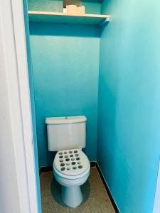 Baño con aseo en una pared azul en Appartement quartier calme en Mende