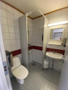 a bathroom with a toilet and a sink at Overnattingsrom Rudshøgda in Eriksrud