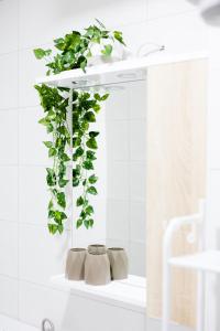 a white bathroom with a plant on a shelf at Apartman "Stay In" Osijek in Osijek