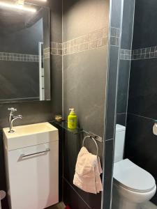 a bathroom with a sink and a toilet and a mirror at Bungalow et jacuzzi privatifs in La Possession