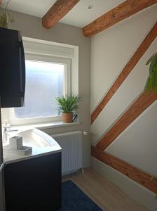 a bathroom with a sink and a window at Appartement Béthanie in Steige