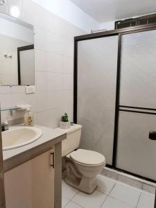 La salle de bains est pourvue de toilettes, d'un lavabo et d'une douche. dans l'établissement Apartamento en el Rodadero, à Santa Marta