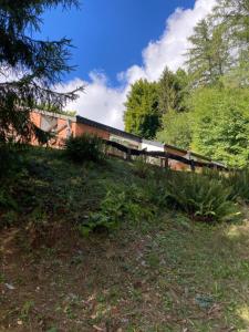 un pont en bois sur une colline plantée d'arbres et de buissons dans l'établissement Le cottage de Christine, à Vresse-sur-Semois