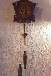 La casa del Cucù al Ravascletto, 900mt from cable car في رافاسكليتو: ساعة معلقة على الحائط