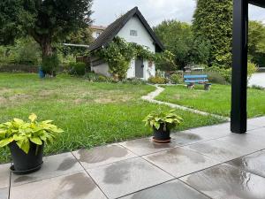 zwei Topfpflanzen auf einer Terrasse vor einem Haus in der Unterkunft HAUS AURORA - im Grünen, zentral gelegen in Zweibrücken