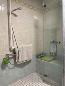 eine Dusche mit Glastür im Bad in der Unterkunft HAUS AURORA - im Grünen, zentral gelegen in Zweibrücken
