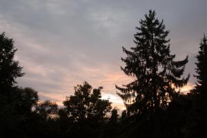 Příroda nedaleko bed and breakfast