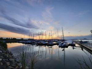 a group of boats docked in a marina at sunset at Marica Apartman in Balatonfenyves