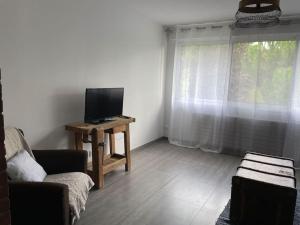 Televízia a/alebo spoločenská miestnosť v ubytovaní Bel appart spacieux 10min centre 300m quai de Seine WIFI