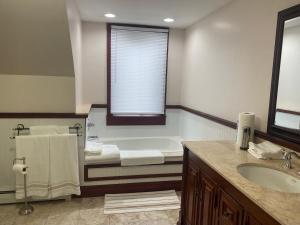 a bathroom with a bath tub and a sink at Comfy Loft Beacon NY in Beacon