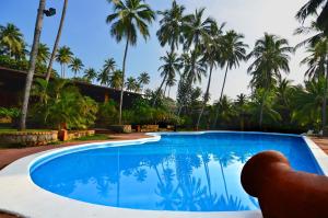 Bazén v ubytování Eva Lanka Hotel - Beach & Wellness nebo v jeho okolí
