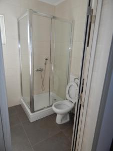 ein Bad mit einer Dusche und einem WC in der Unterkunft Apartman Zvezda vodilja in Veternik